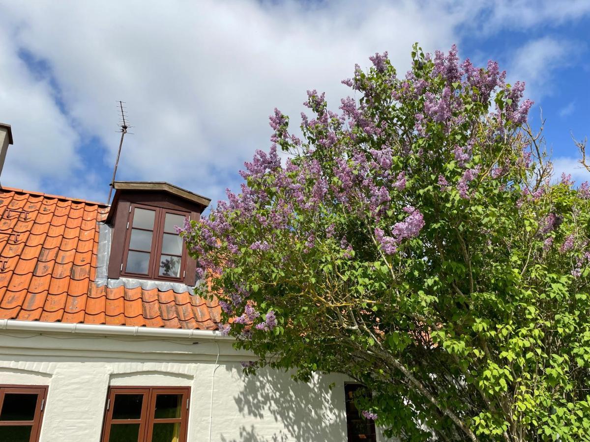 A True Nature Pearl In Idyllic Surroundings But Close To The City Holbæk Eksteriør billede